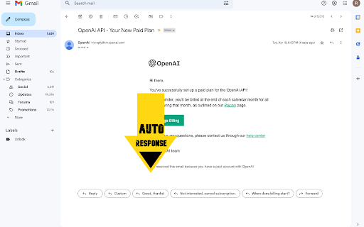 ChatGPT Email Reply