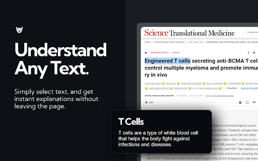 ExplainTXT
