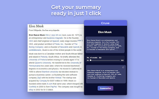 Cruxe AI Summarisation Extension