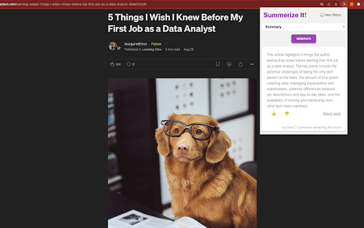 Summerize.ai